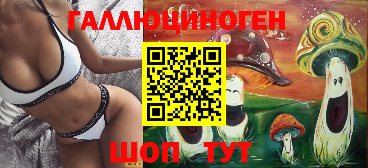 Галлюциногенные грибы Psilocybe  закладка  Вход с VPN  Учалы  Галлюциногенные грибы Psilocybe 